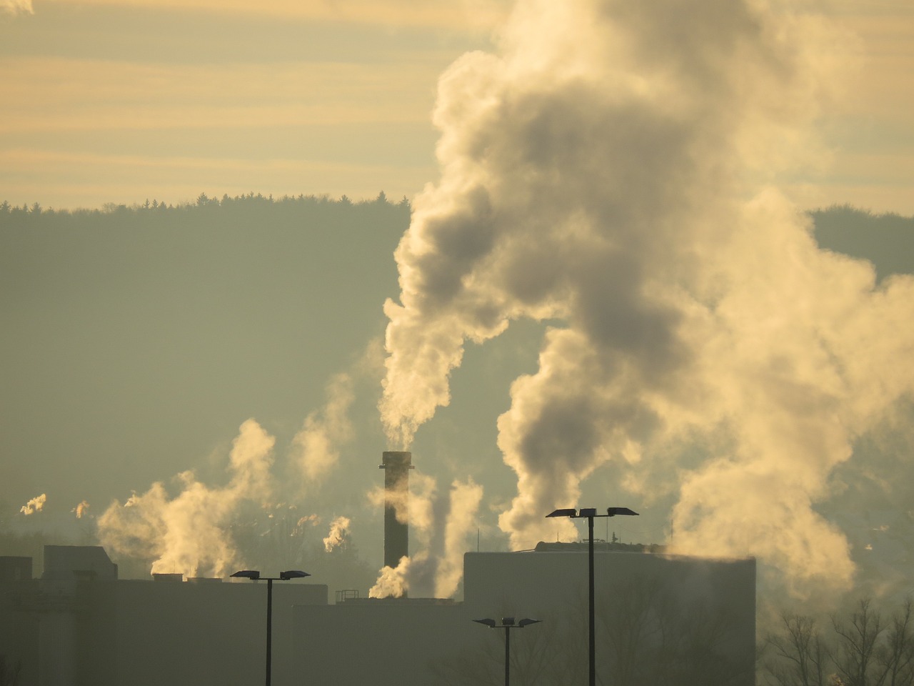 What are Environmental Footprint Calculators?
